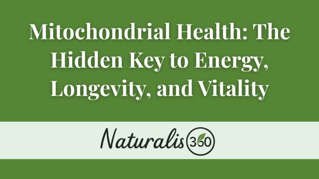 Cover image for Naturalis360 article on mitochondrial health and natural energy optimization